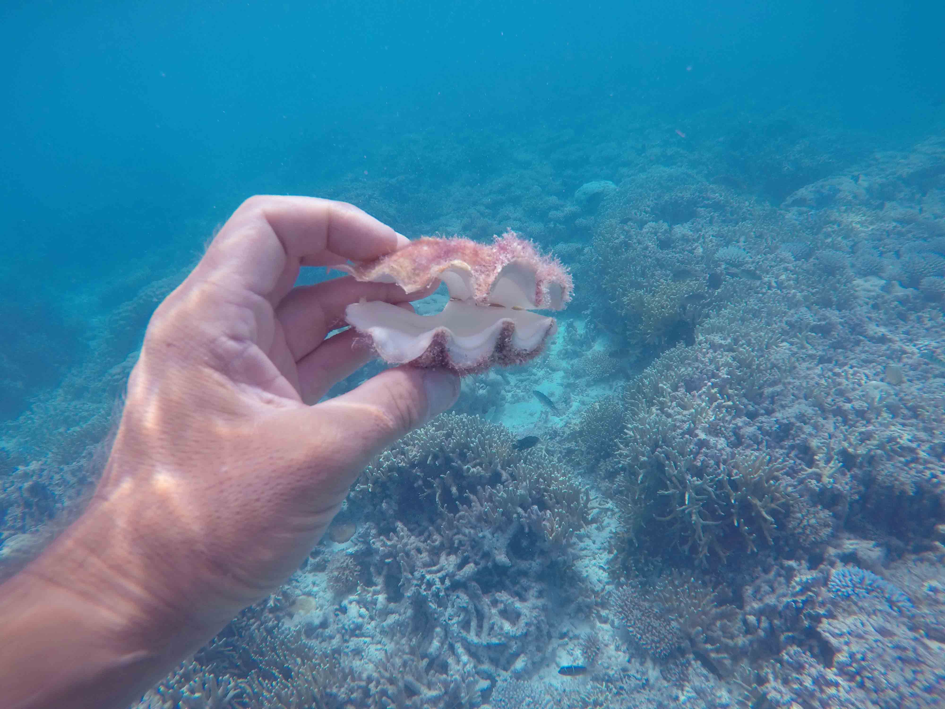DCIM102GOPROGOPR7450.JPG