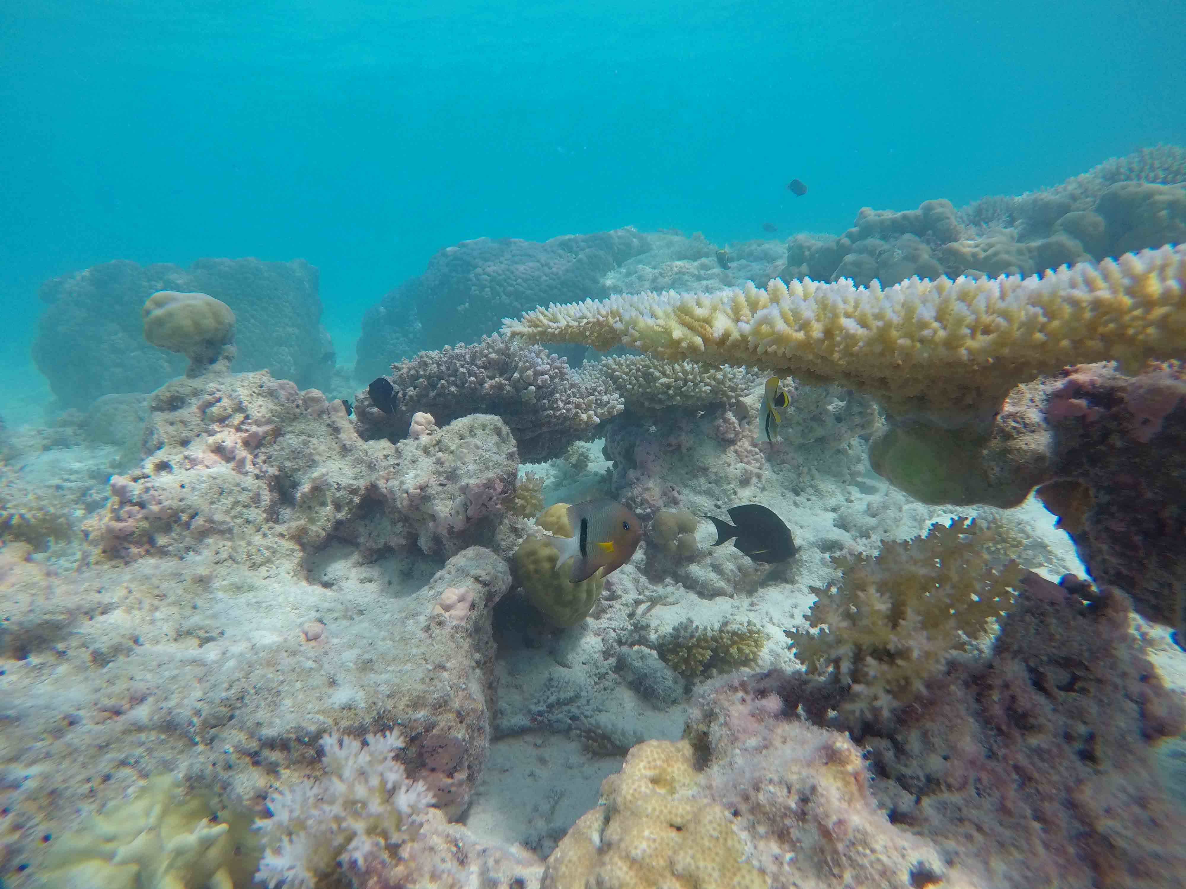 DCIM102GOPROGOPR7444.JPG