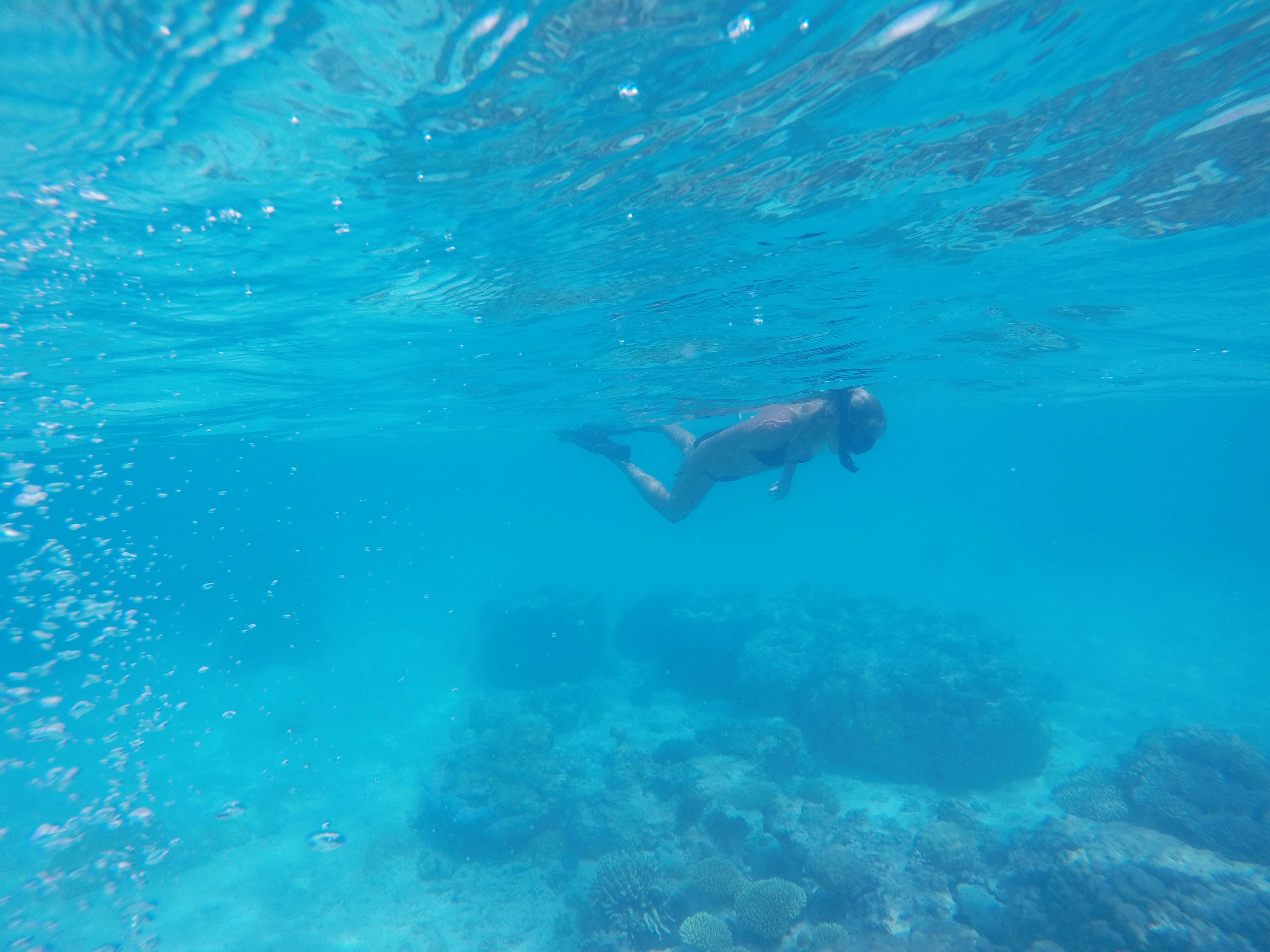 DCIM102GOPROGOPR7447.JPG